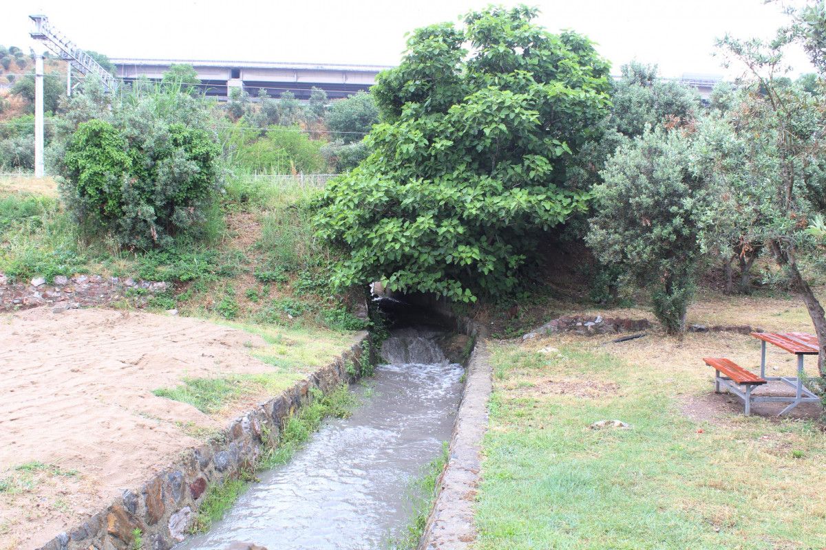 İzmit Körfezi'nde suyun rengi karardı