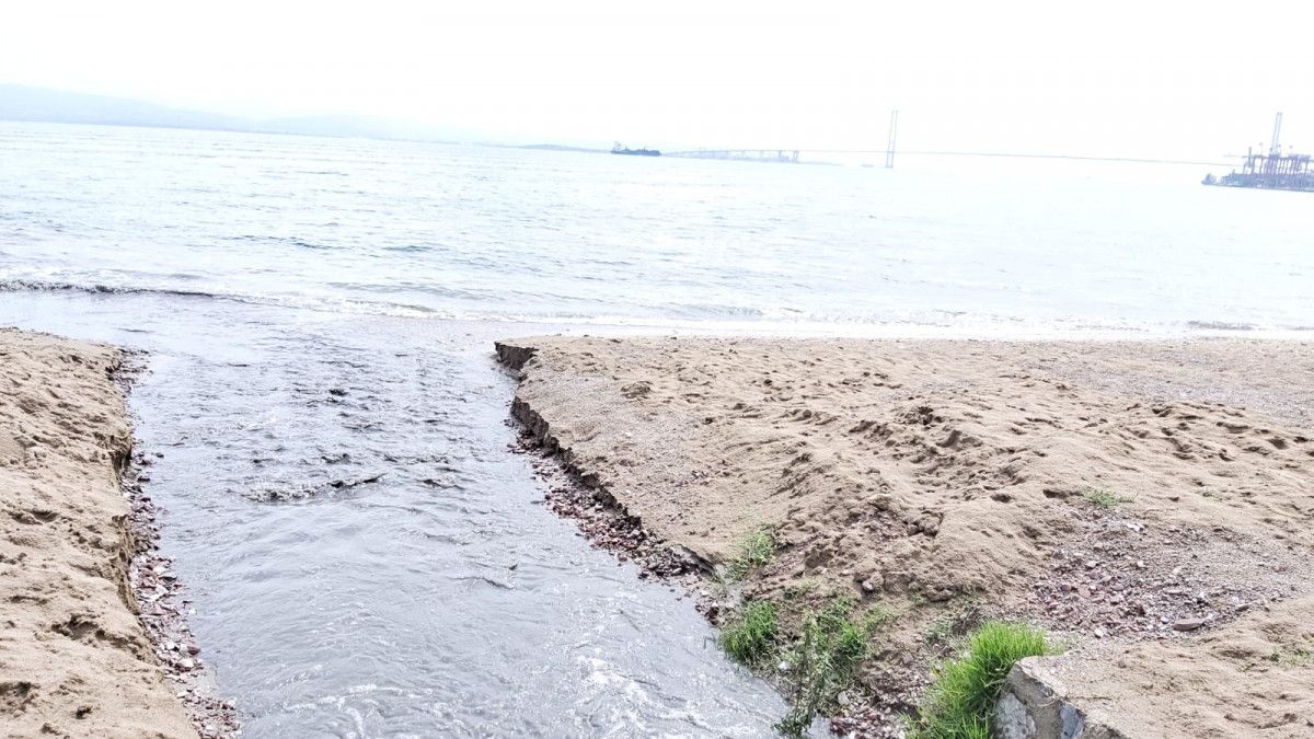 İzmit Körfezi'nde suyun rengi karardı