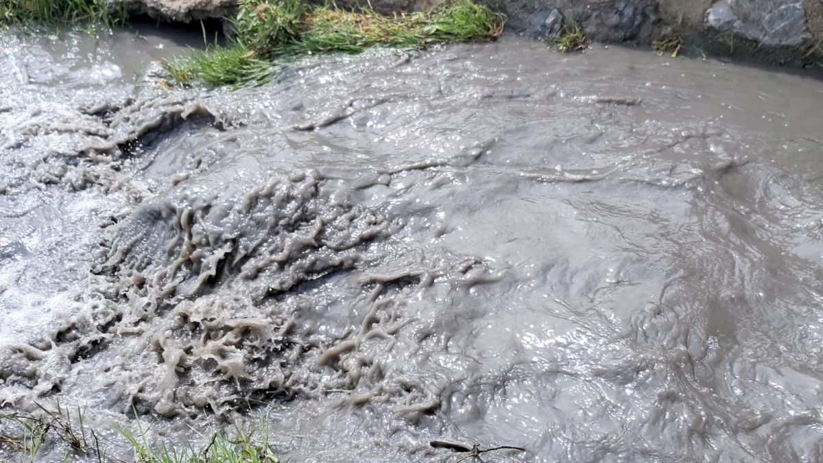 İzmit Körfezi'nde suyun rengi karardı