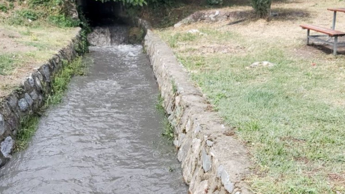 İzmit Körfezi&#039;nde suyun rengi karardı