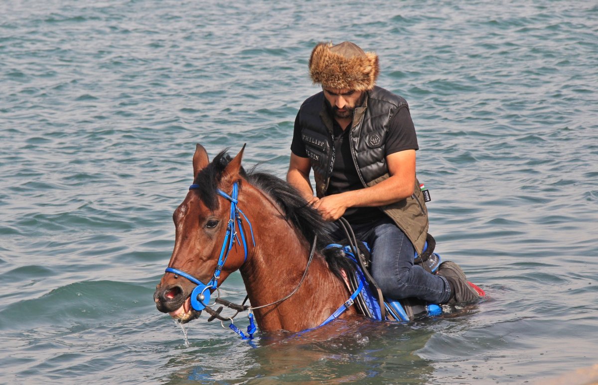 Kocaeli'de işe atıyla gidip geliyor