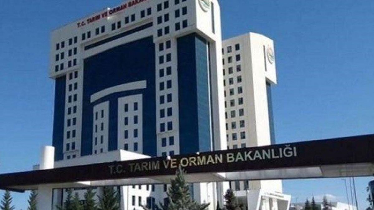 KPSS-2022/8 tercih kılavuzu: Tarım ve Orman Bakanlığı personel alımı tercihleri nasıl yapılır?