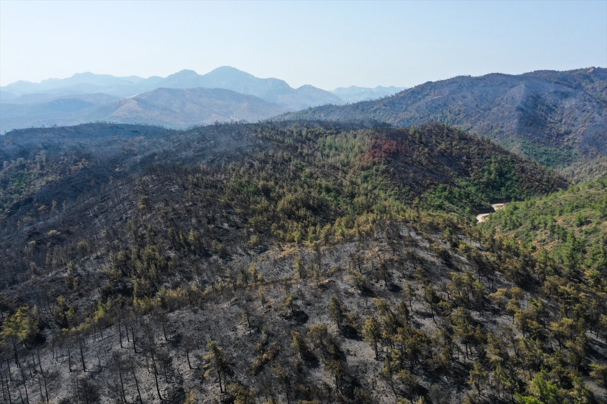 Marmaris yangınının bilançosu: Yeşilden eser kalmadı