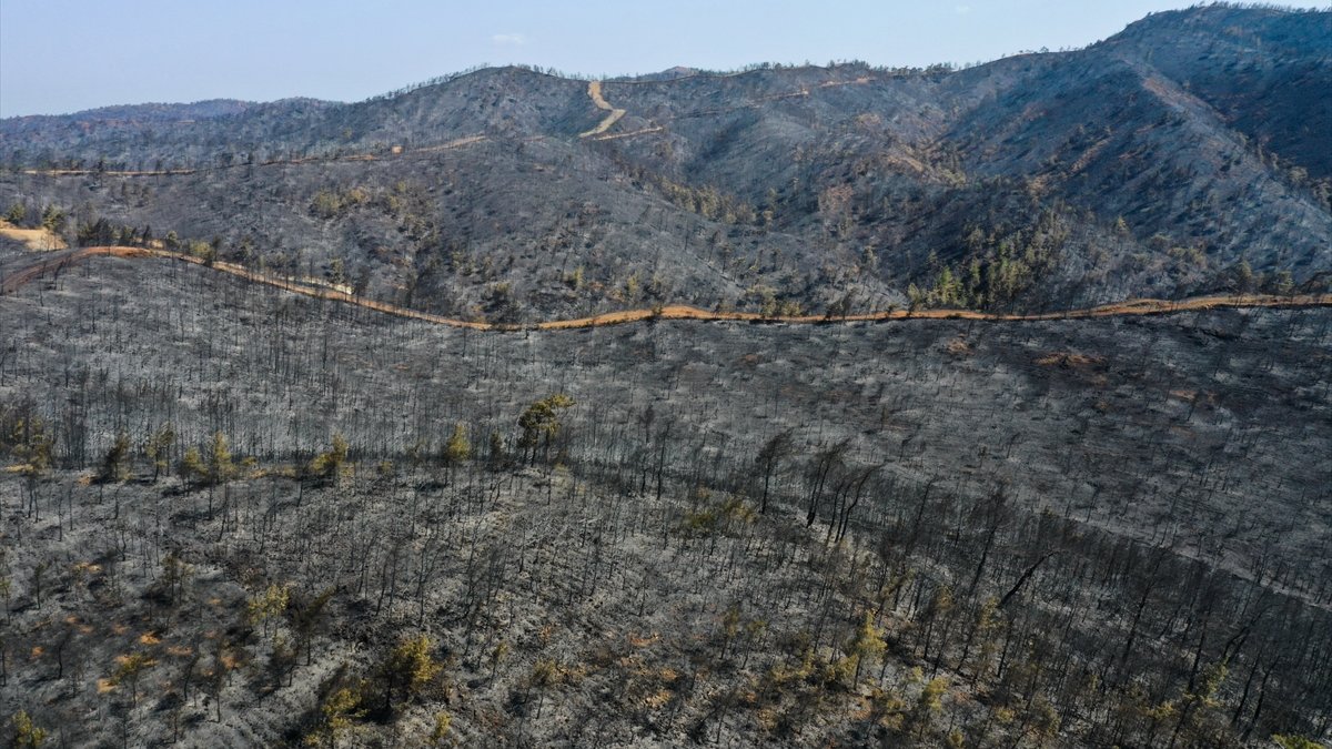 Marmaris yangınının bilançosu: Yeşilden eser kalmadı