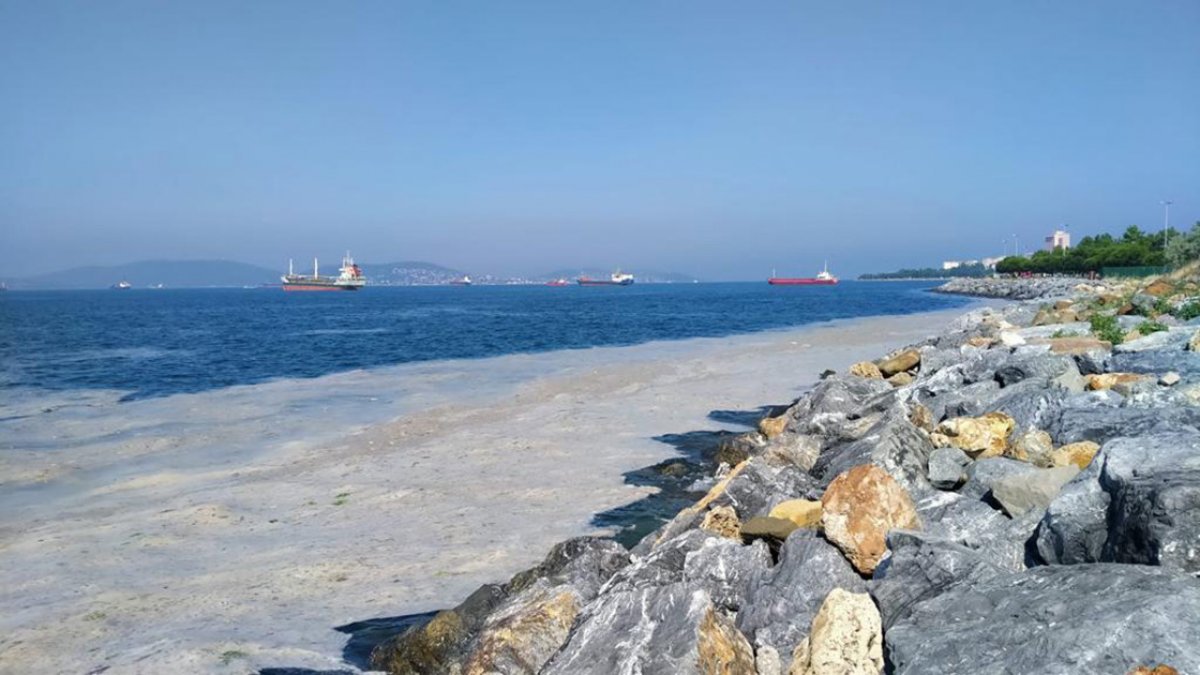 Müsilaj ve imara ilişkin düzenlemeler, TBMM Genel Kurulunda kabul edildi