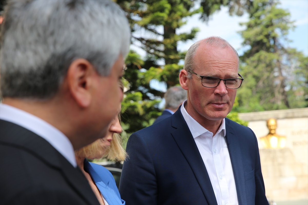 Norveç ve İrlandalı bakanlar Hatay'da