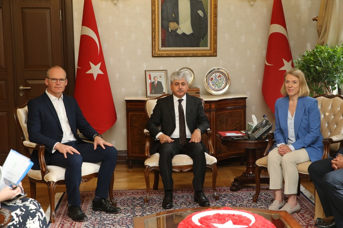 Norveç ve İrlandalı bakanlar Hatay'da
