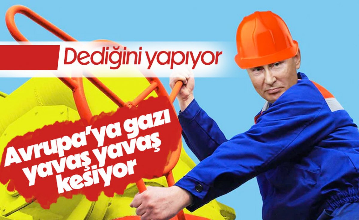 Rusya doğalgazı kestiği için Almanya elektrik üretiminde kömür kullanacak