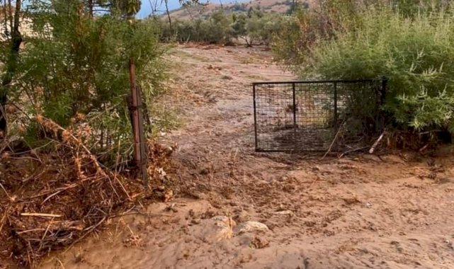 Aydın'da geçen yıl kuraklık bu sene de yağışlar üreticileri üzdü