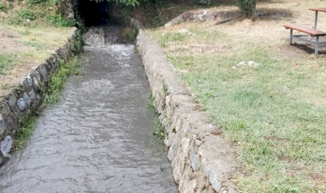 İzmit Körfezi'nde suyun rengi karardı