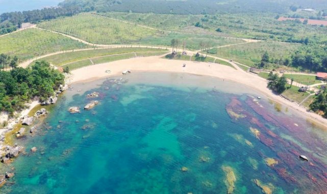 Kocaeli'deki Miço Koyu'nda hazırlıklar başladı