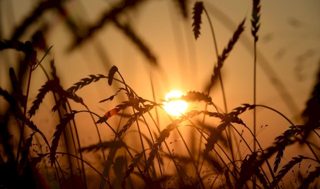 ‘Rusya'ya yaptırım uygulayıp, gıda krizi yaratmakla suçlamak kelimenin tam anlamıyla ikiyüzlülüktür’