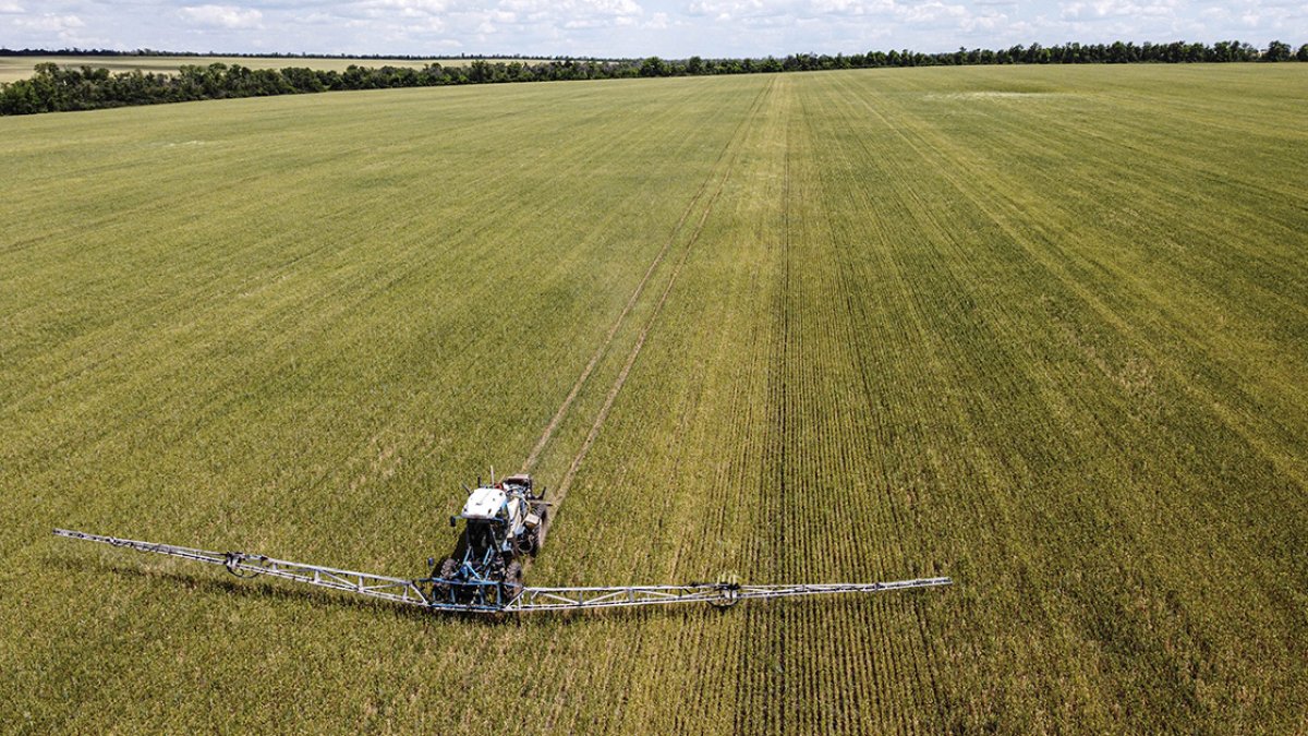 Ukrayna tahılının dağıtımında Fransa, Türkiye'nin planına itiraz etti