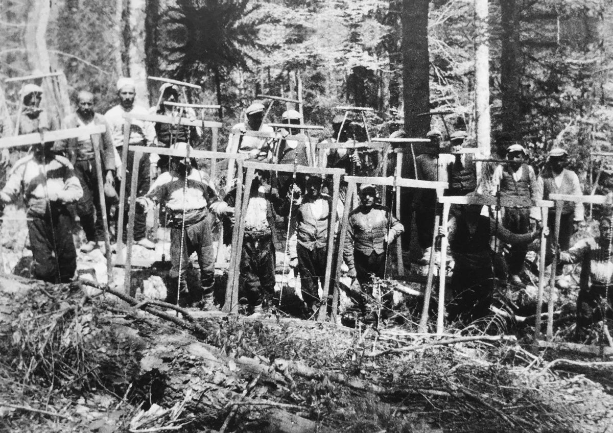 Vakanivüs, CHP'nin orman katliamına neden olan uygulamasını yazdı