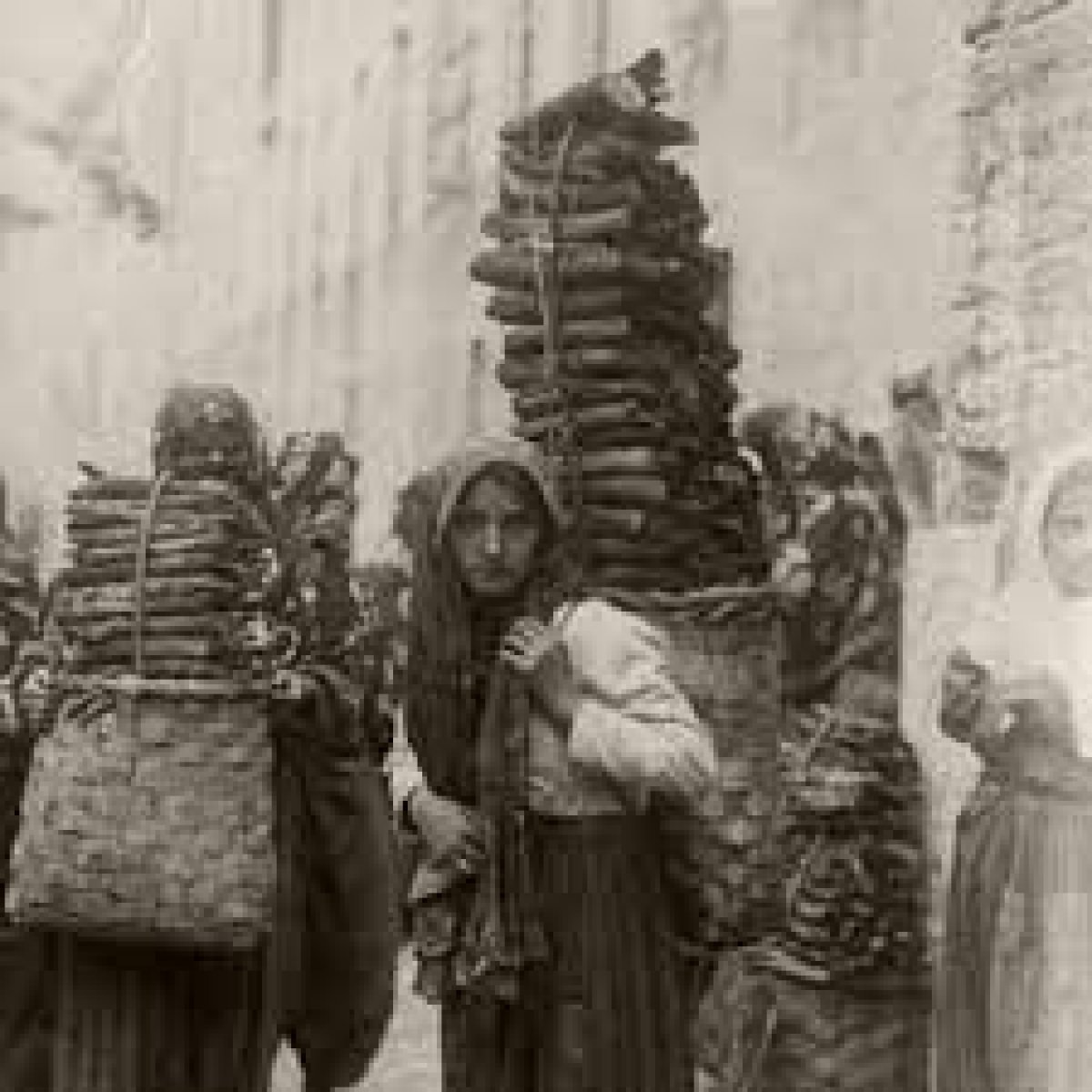 Vakanivüs, CHP'nin orman katliamına neden olan uygulamasını yazdı