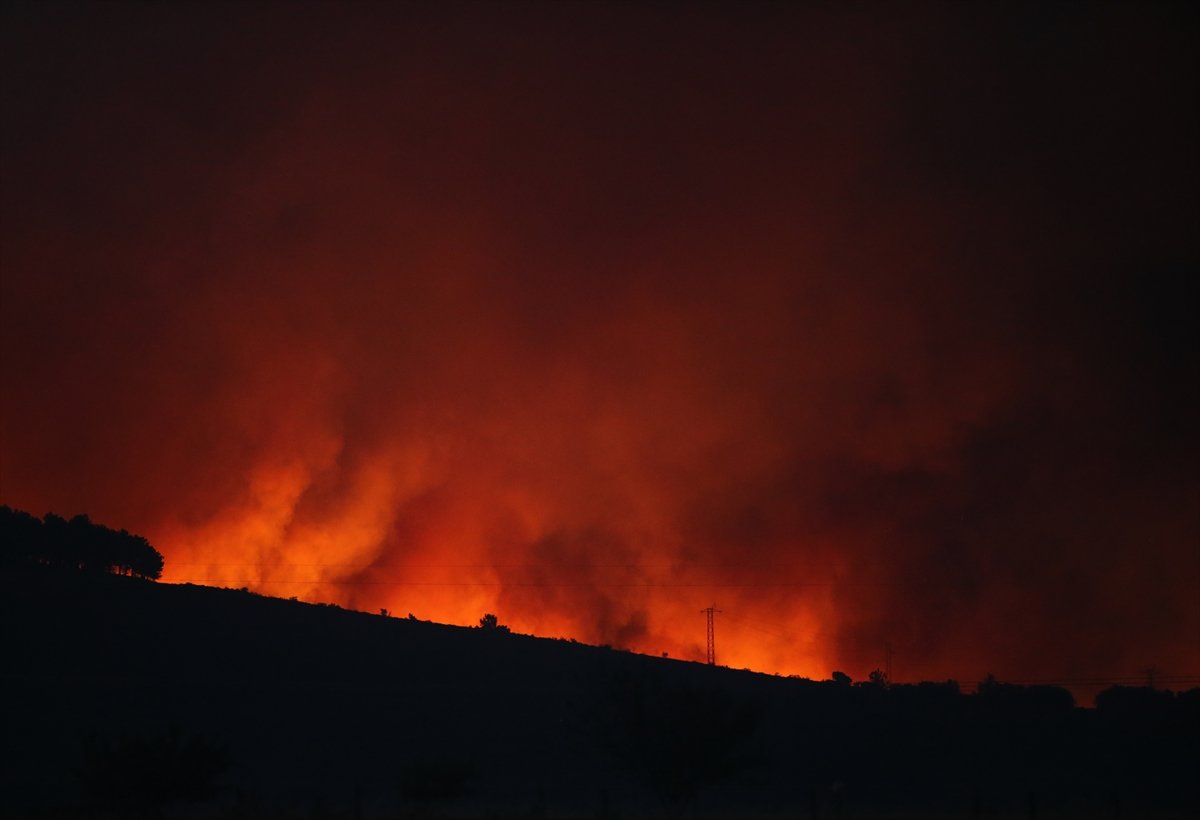 Avrupa'nın orman yangını bilançosu