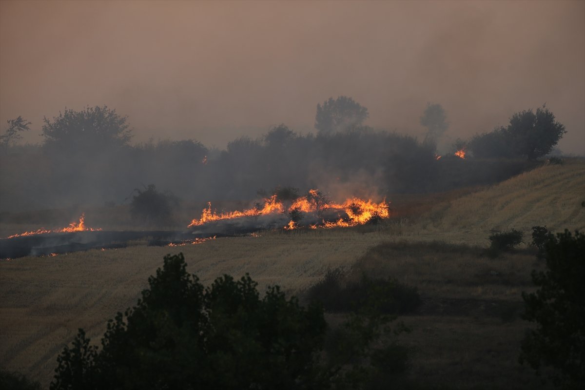 Avrupa'nın orman yangını bilançosu