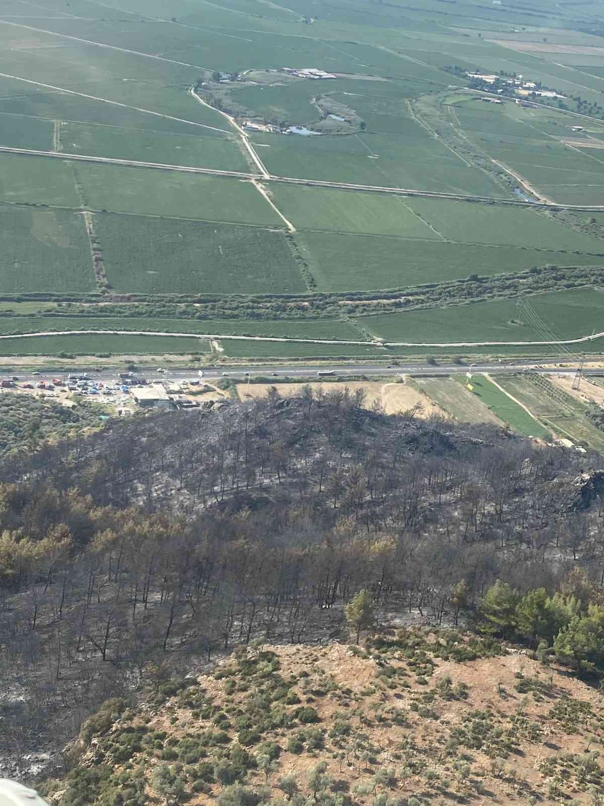 Aydın Söke'deki orman yangını kontrol altına alındı
