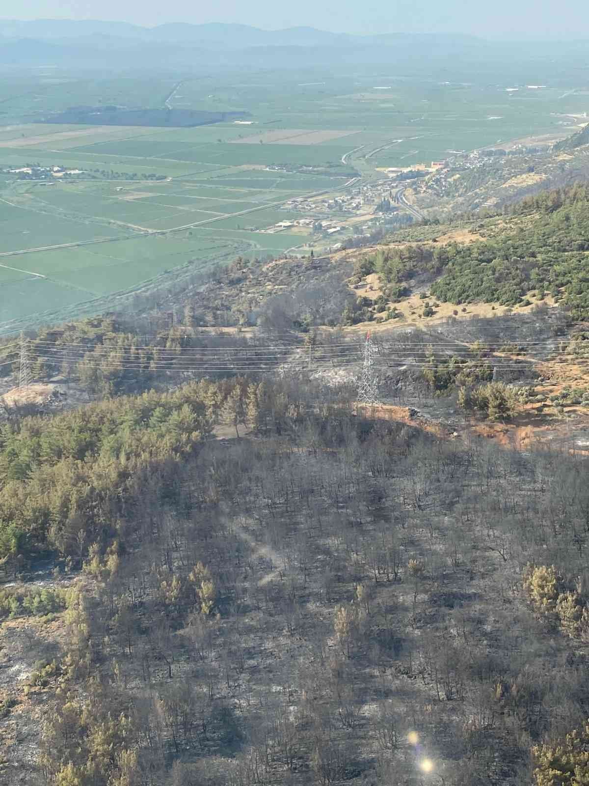 Aydın Söke'deki orman yangını kontrol altına alındı
