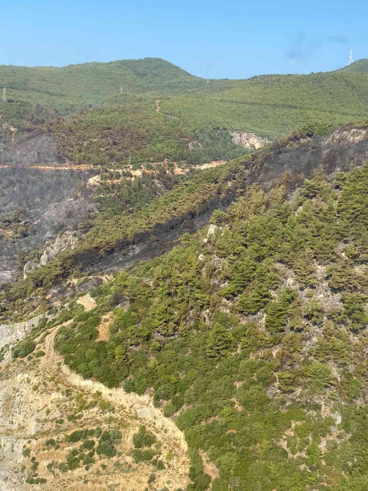 Aydın Söke'deki orman yangını kontrol altına alındı