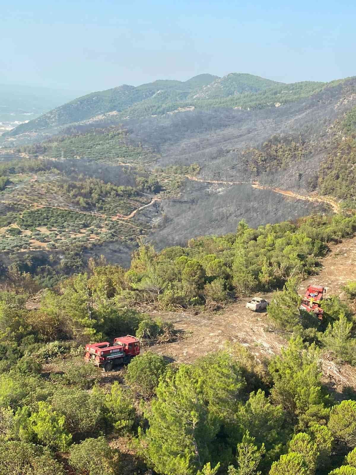 Aydın Söke'deki orman yangını kontrol altına alındı