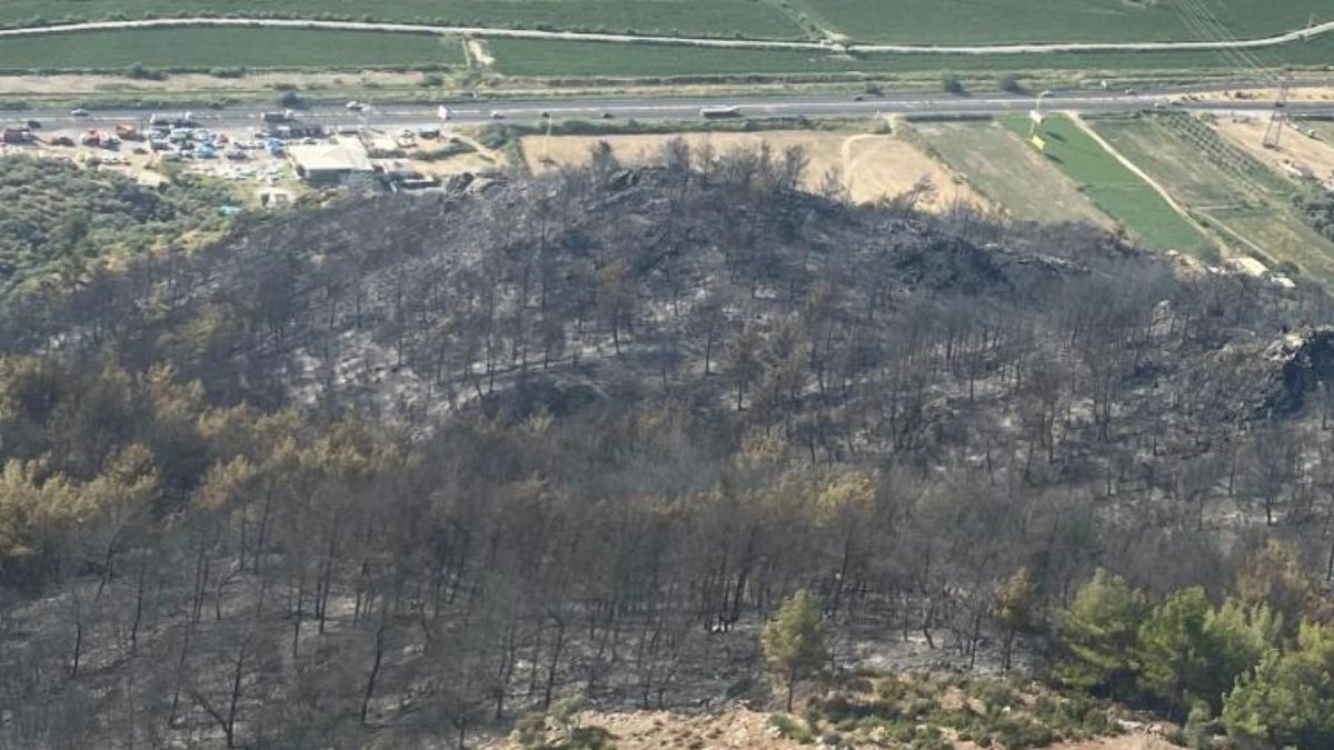 Aydın Söke&#039;deki orman yangını kontrol altına alındı