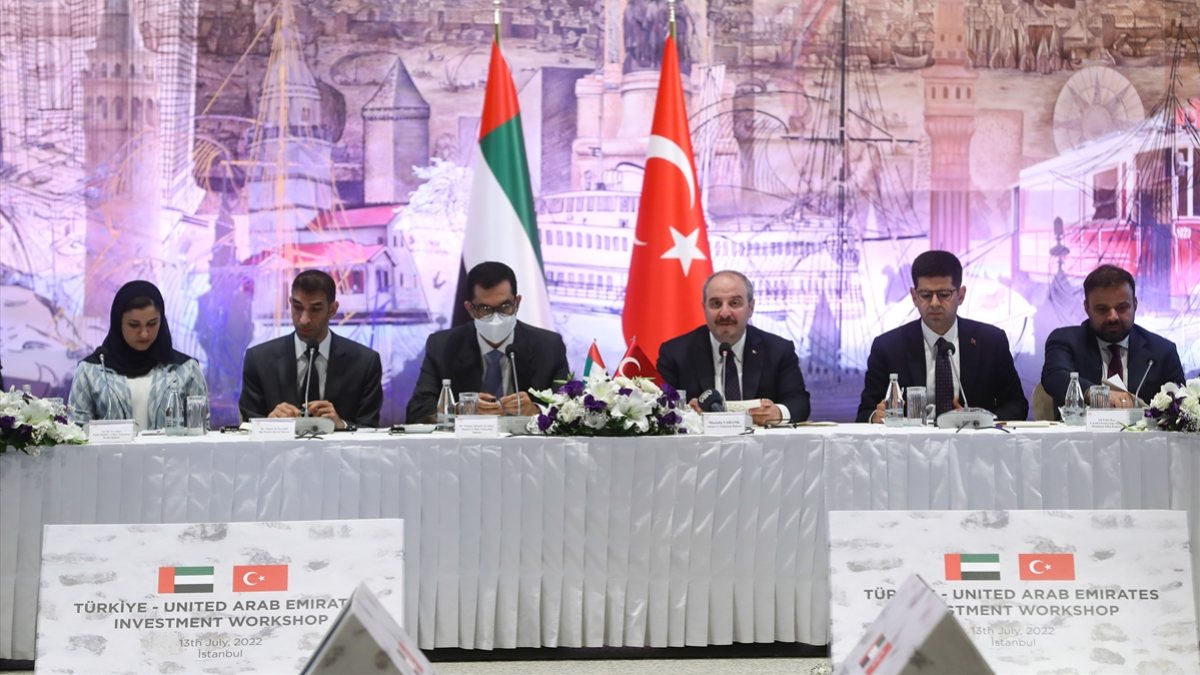 BAE'den Türkiye'ye 10 milyar dolarlık yatırım bütçesi