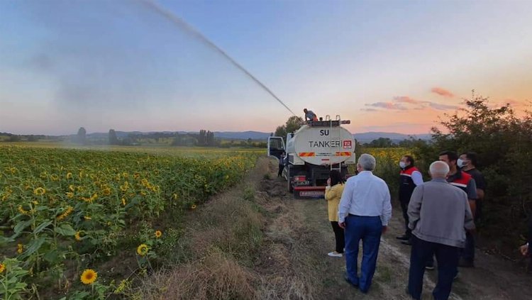 Bilecik'te çayır tırtılıyla mücadele