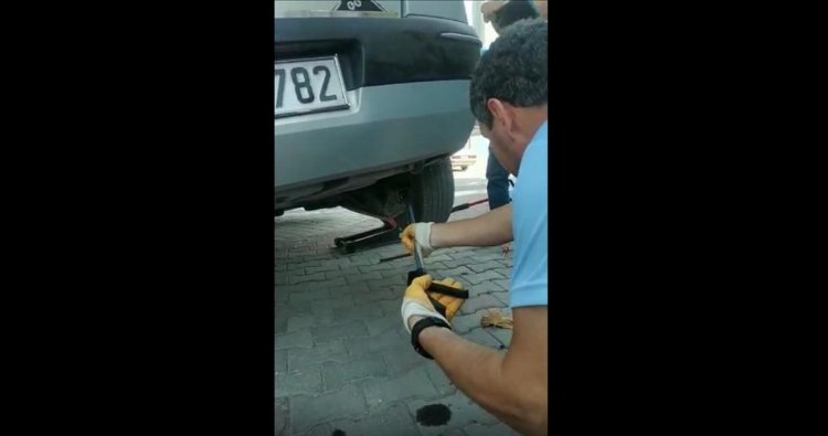 Bursa İnegöl'de yılan paniği