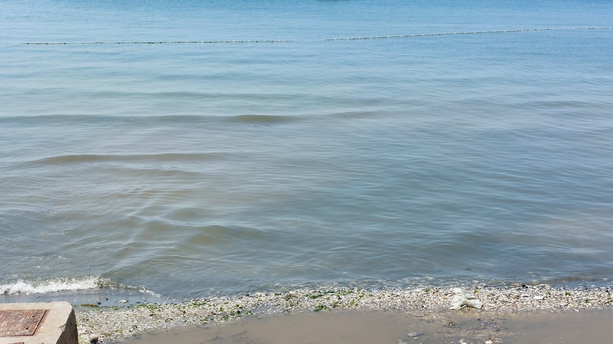 Florya'da kanalizasyondaki kirli su denize aktı