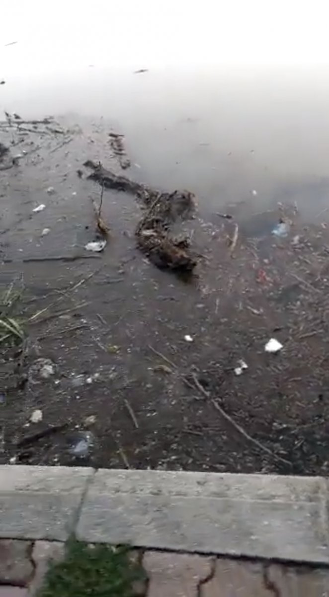 Haliç'teki kirlilik, kameraya yansıdı