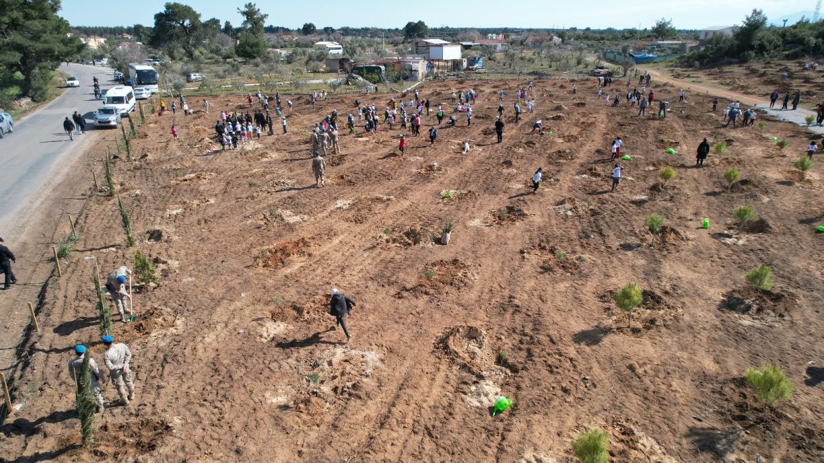 Manavgat'ta yangın felaketinin yaraları sarılıyor