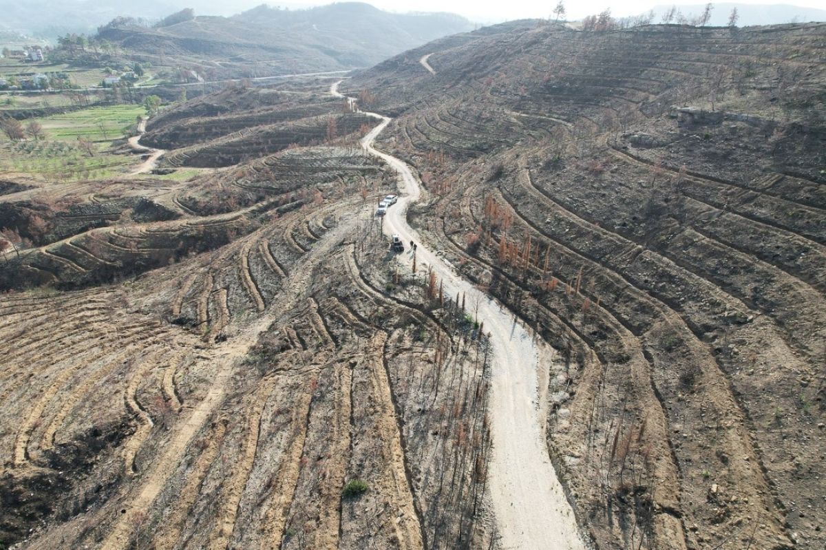 Manavgat'ta yangın felaketinin yaraları sarılıyor