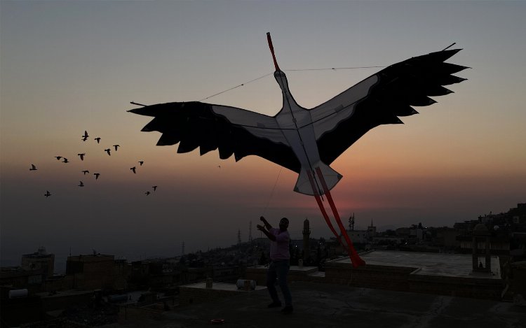 Mardin'den Bali'ye eşekle uçacak!