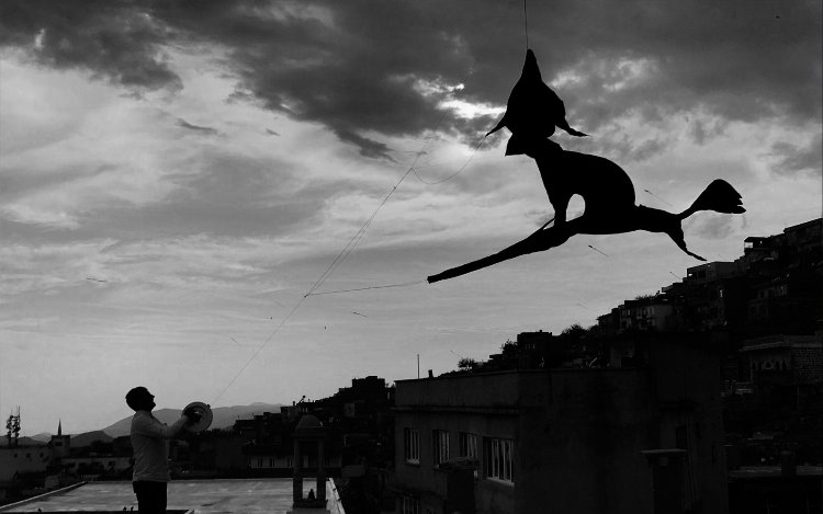 Mardin'den Bali'ye eşekle uçacak!