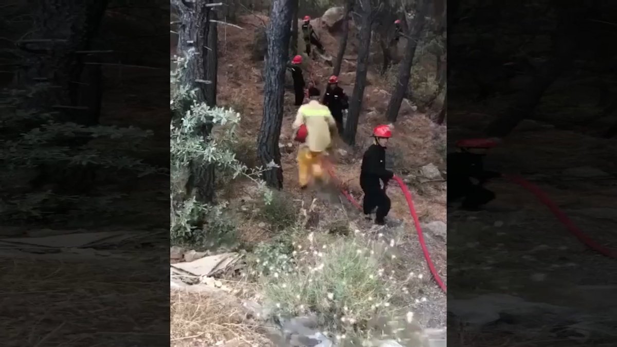 Mehmetçik, Datça’daki yangını söndürme çalışmalarına destek sağlıyor