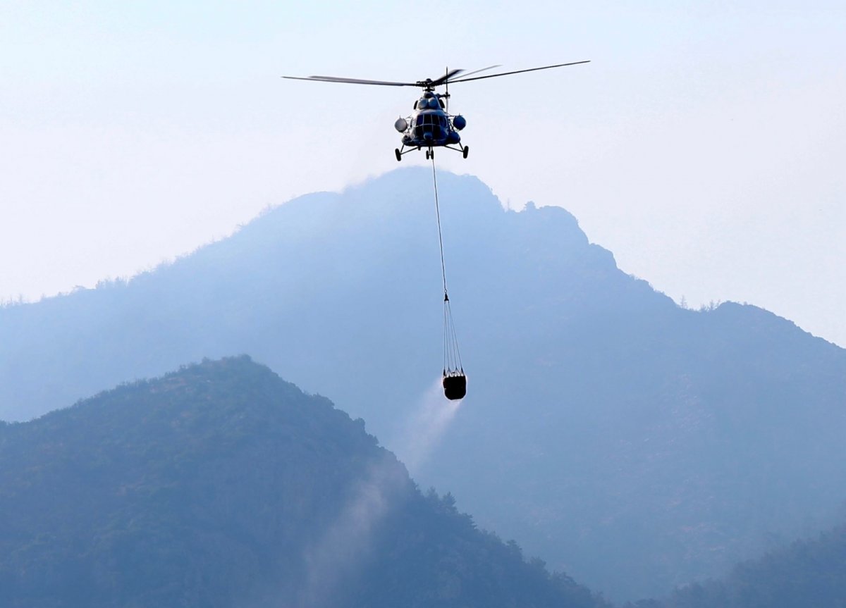OGM: Yangınla mücadele devam ediyor