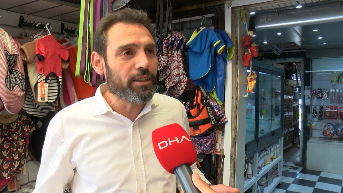 Petshop vitrinlerinden kedi ve köpekler kaldırıldı