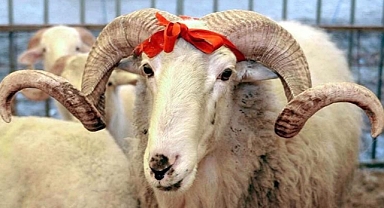 Resimli Kurban Bayramı mesajları 2022