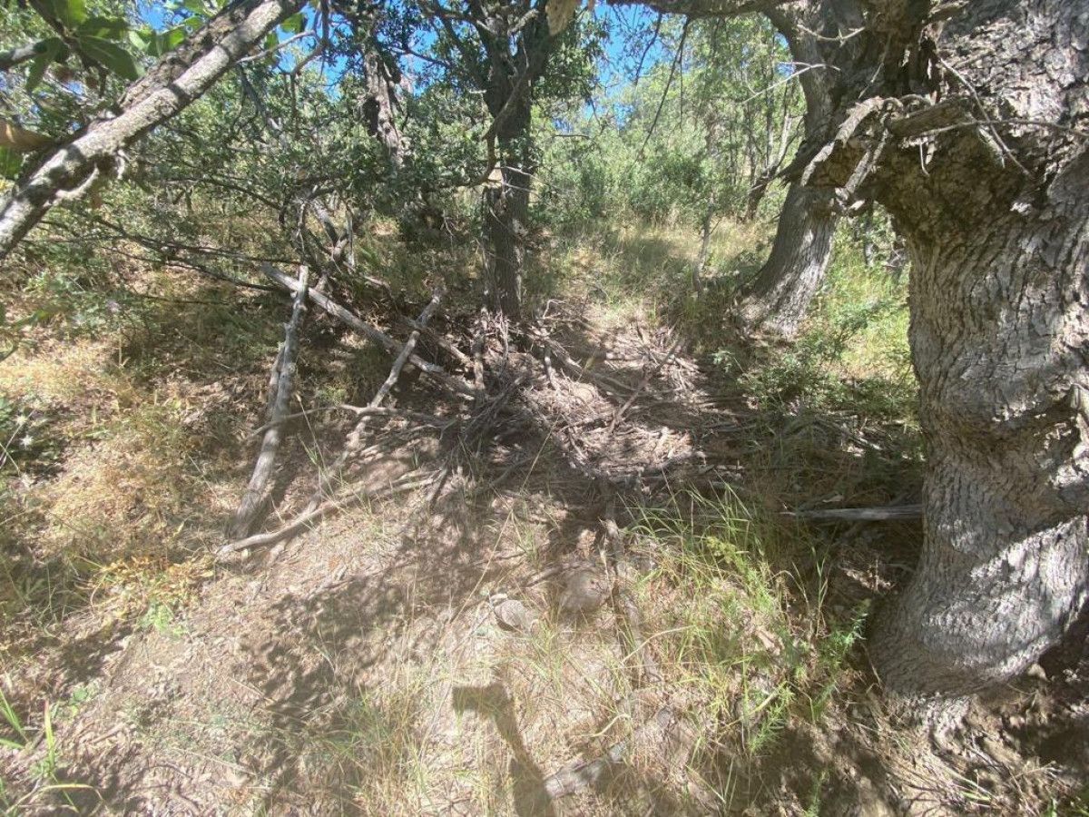 Şırnak ve Siirt'te Eren Abluka-27 Operasyonu başlatıldı