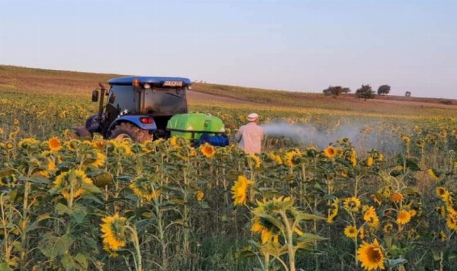 Bilecik'te çayır tırtılıyla mücadele