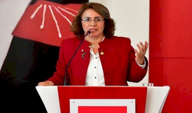 CHP'li Fatma Köse'den 'Danıştay'a tepki