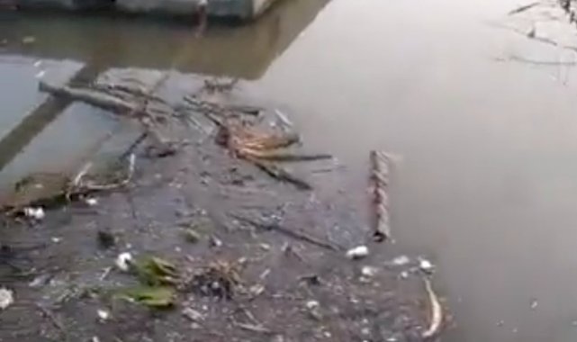 Haliç'teki kirlilik, kameraya yansıdı