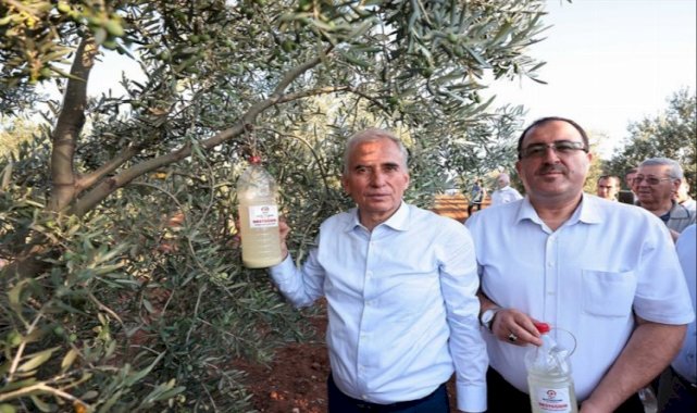 Zeytin üreticilerine biyoteknik destek