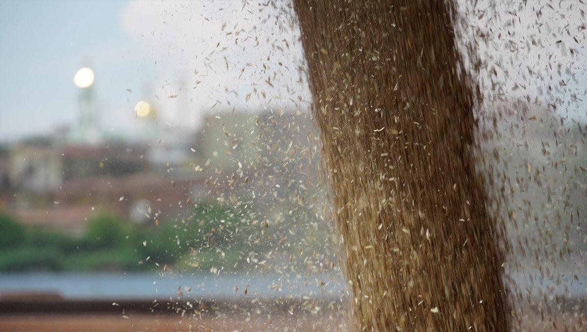 Ukrayna'nın ardından Rusya'da da tahıllar gemilere yükleniyor