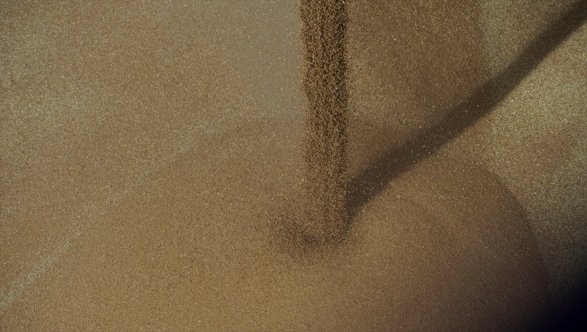 Ukrayna'nın ardından Rusya'da da tahıllar gemilere yükleniyor