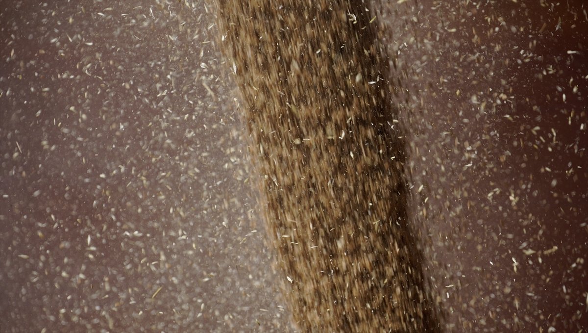 Ukrayna'nın ardından Rusya'da da tahıllar gemilere yükleniyor