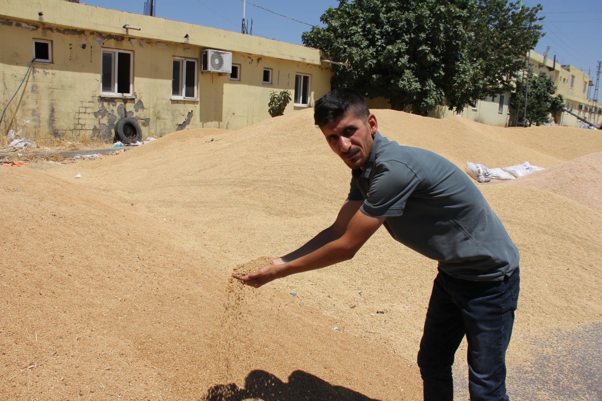 Yurt dışına buğday satıldığı iddiasının yalan olduğu ortaya çıktı