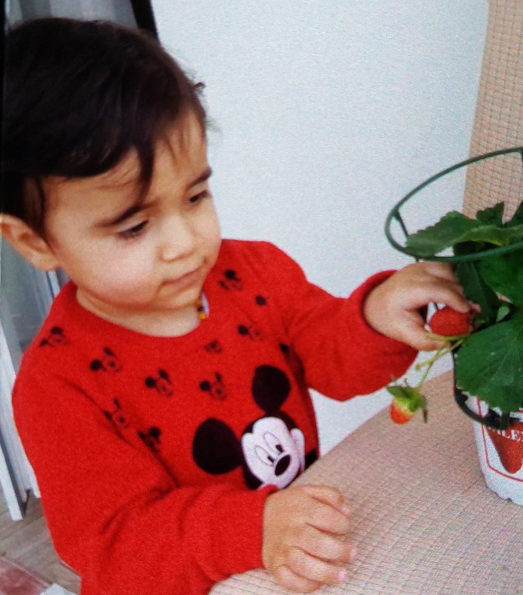 7.kattan düşen 1.5 yaşındaki bebek öldü