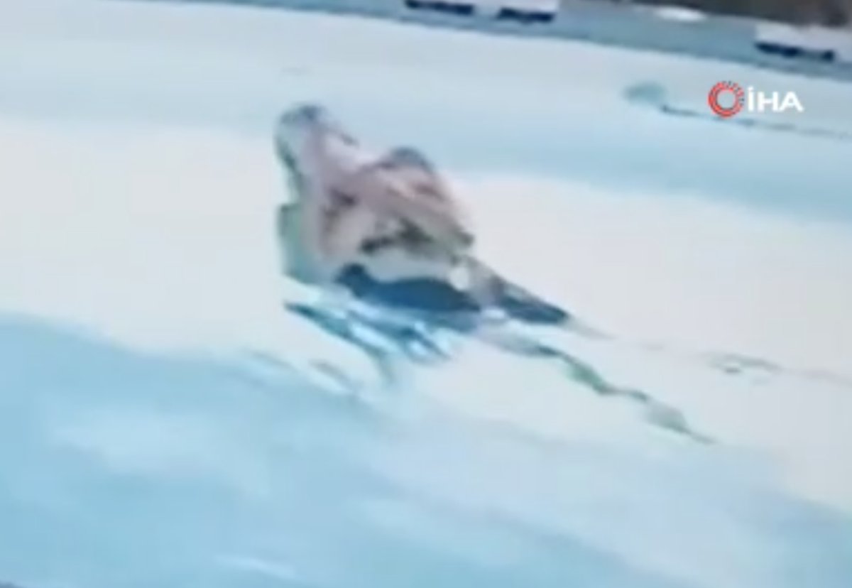 ABD'de, minik çocuğun nöbet geçiren annesini kurtarma anı